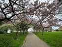 Empty parks on Easter Monday.