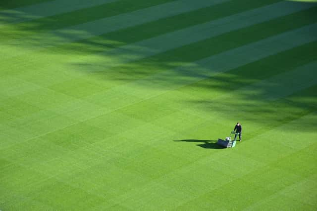 The height of your lawnmower may need adjusting, and blades need to be sharp for best results.