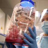 The Office for National Statistics says the North East is the only region in England where coronavirus cases have 'leveled off'