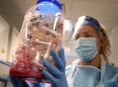 The Office for National Statistics says the North East is the only region in England where coronavirus cases have 'leveled off'