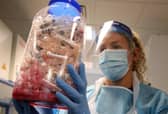 The Office for National Statistics says the North East is the only region in England where coronavirus cases have 'leveled off'