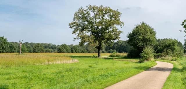 Enjoy our green spaces