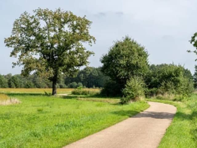 Enjoy our green spaces