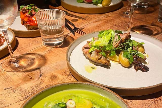 Octopus and lobster ceviche with tomatoes, cucumber, mint and jalapeño