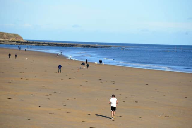 The jellyfish photos were taken in the sea off Seaburn earlier this week.