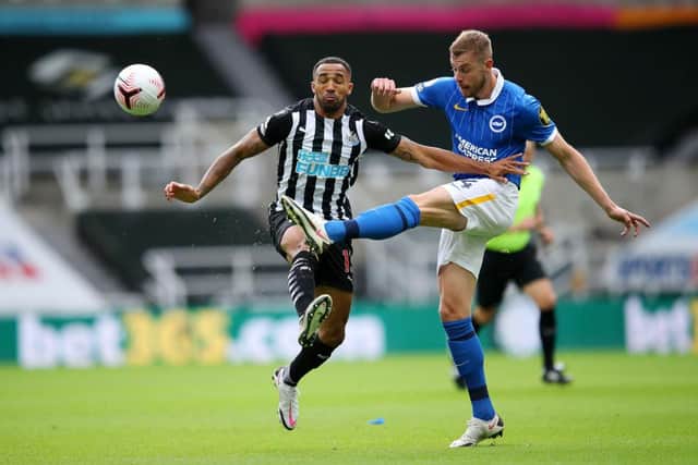 Callum Wilson of Newcastle United is challenged by Adam Webster of Brighton and Hove Albion (Photo by Alex Pantling/Getty Images)