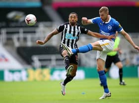 Callum Wilson of Newcastle United is challenged by Adam Webster of Brighton and Hove Albion  (Photo by Alex Pantling/Getty Images)