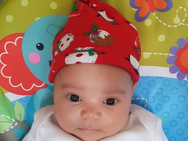 Eight-week-old Giovanna. Picture: Claire Wilson