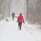 Many dogs still love the chance to go out on adventures during the colder months (photo: Adobe)