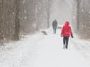 Many dogs still love the chance to go out on adventures during the colder months (photo: Adobe)