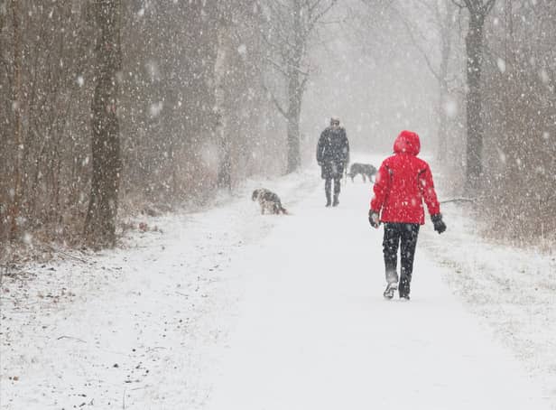 Many dogs still love the chance to go out on adventures during the colder months (photo: Adobe)