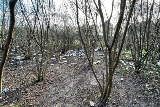 Piles of drinks bottles have been left among the trees at Chuter Ede fields.