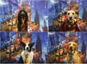 Pets2Impress dog taking part in a Harry Potter themed week