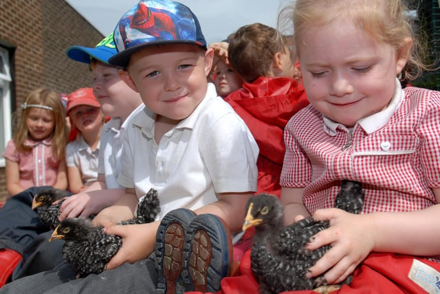 Tots at Boldon Nursery were pictured in the new chicken coop 9 years ago.