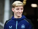 Newcastle United winger Anthony Gordon.