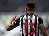 Callum Wilson.