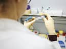 Vaccine trials are to take place in Hartlepool.
