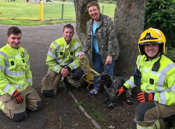 Fiona Reid and her cocker spaniel, Baxter, pictured alongside three firefighters from South Shields Community Fire Station.
L-R (pictured): Firefighter Aaron Donnison, Crew Manager Christopher Davison, and Firefighter Steven Godwin.