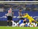 Newcastle United travel to The Amex Stadium having never beaten Brighton in the Premier League (Photo by Clive Rose/Getty Images)