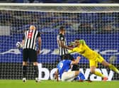 Newcastle United travel to The Amex Stadium having never beaten Brighton in the Premier League (Photo by Clive Rose/Getty Images)