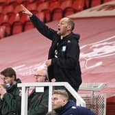 Alex Neil has been named as Sunderland's new head coach