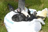 South Tyneside Council issued just ten fines for dog fouling in the last five years