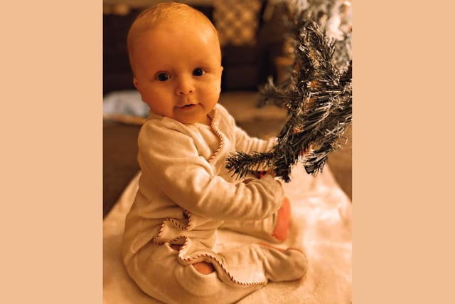 Chester George Wheatley, age 6 months, under the tree.