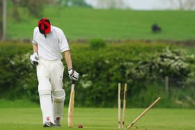 Cricket. Coming soon to an Olympics near you.