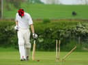 Cricket. Coming soon to an Olympics near you.
