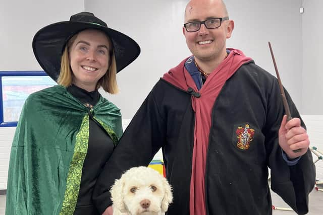 Pets2Impress dog taking part in a Harry Potter themed week