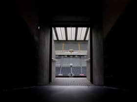 A view from inside St James's Park.