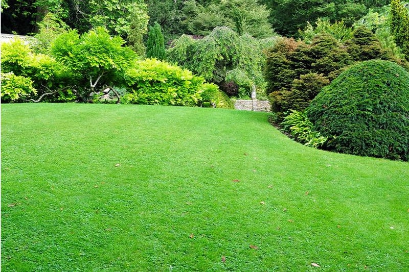 A lawned garden has long been a preferred option for house hunters, so, whether you’re renewing your existing lawn, or you’re keen to add a bit of green into your outside space, your home’s value will definitely increase.