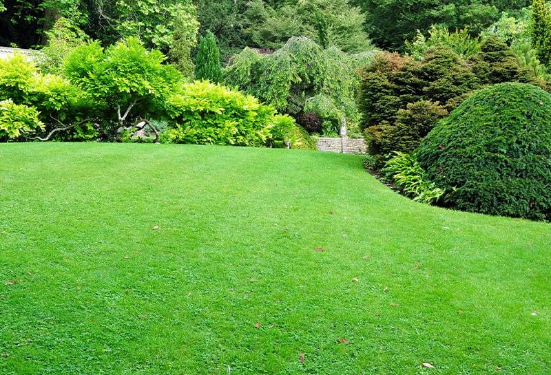 A lawned garden has long been a preferred option for house hunters, so, whether you’re renewing your existing lawn, or you’re keen to add a bit of green into your outside space, your home’s value will definitely increase.