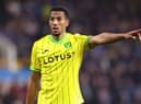 Isaac Hayden of Norwich gesturs during the Sky Bet Championship between Burnley and Norwich City at Turf Moor on October 25, 2022 in Burnley, England. (Photo by Nathan Stirk/Getty Images)