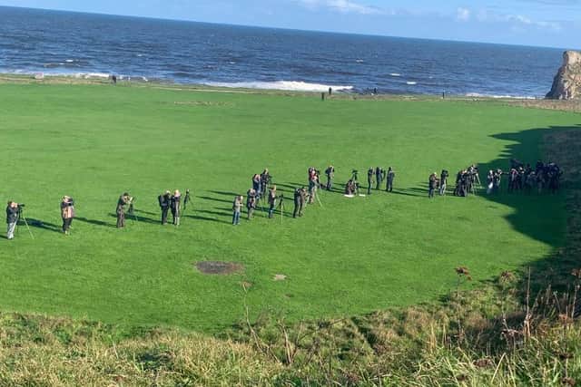 Bird watchers gathered at Trow Quarry, South Shields, to see the Taiga Flycatcher.