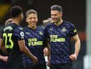 Dwight Gayle, centre, celebrates Fabian Schar's goal against Fulham on the final day of last season.