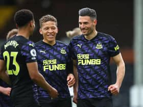 Dwight Gayle, centre, celebrates Fabian Schar's goal against Fulham on the final day of last season.