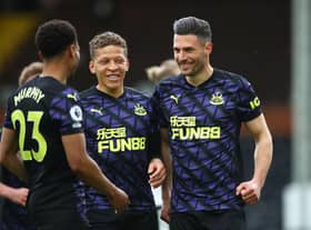 Dwight Gayle, centre, celebrates Fabian Schar's goal against Fulham on the final day of last season.