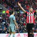 SUNDERLAND, ENGLAND - JANUARY 31: Connor Wickham of Sunderland appeals during the Barclays Premier League match between Sunderland and Burnley at Stadium of Light on January 31, 2015 in Sunderland, England.  (Photo by Mark Runnacles/Getty Images)