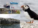 The Farne Islands.
