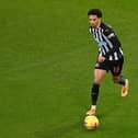 Newcastle defender Jamal Lewis.