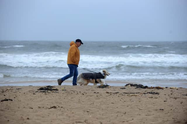 The BVA has said there is currently no link between visiting the region's beaches and a rise in dog vomiting cases.