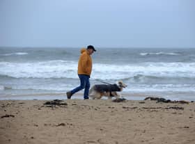 The BVA has said there is currently no link between visiting the region's beaches and a rise in dog vomiting cases.