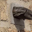 Swift Brick