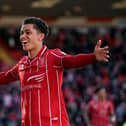 Brennan Johnson celebrates his crucial goal