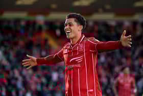 Brennan Johnson celebrates his crucial goal