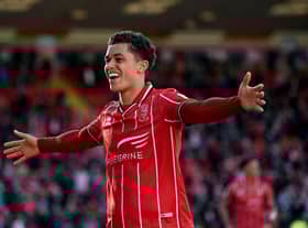 Brennan Johnson celebrates his crucial goal