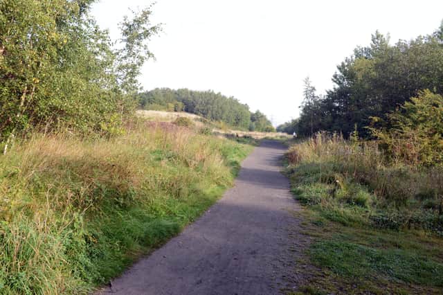 Colliery Wood is one of the places featuring in recommended walking routes