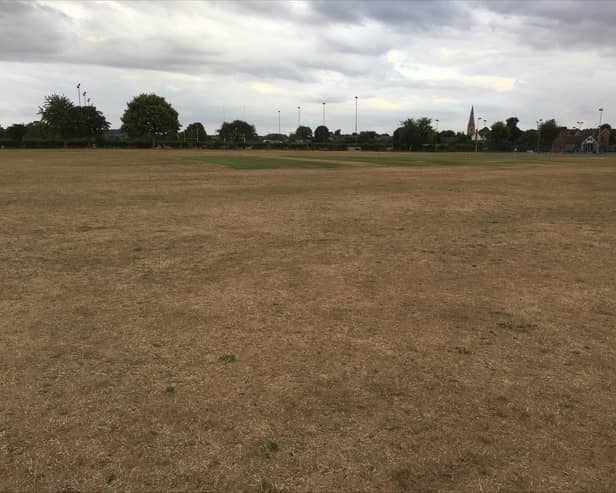 Dry cricket pitch