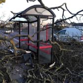 A tree brought down in the high winds in Whitburn as Storm Otto hits